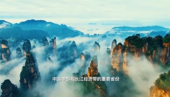  張家界被外交部全球推介，桑植白茶亮相冷餐招待會！ 