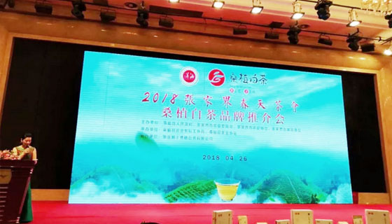 相約春天，湘豐桑植白茶正式發(fā)布 