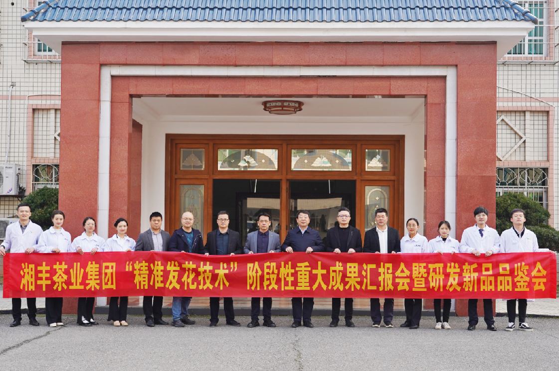 湘豐茶業(yè)集團“精準發(fā)花技術”取得重大階段性成果！