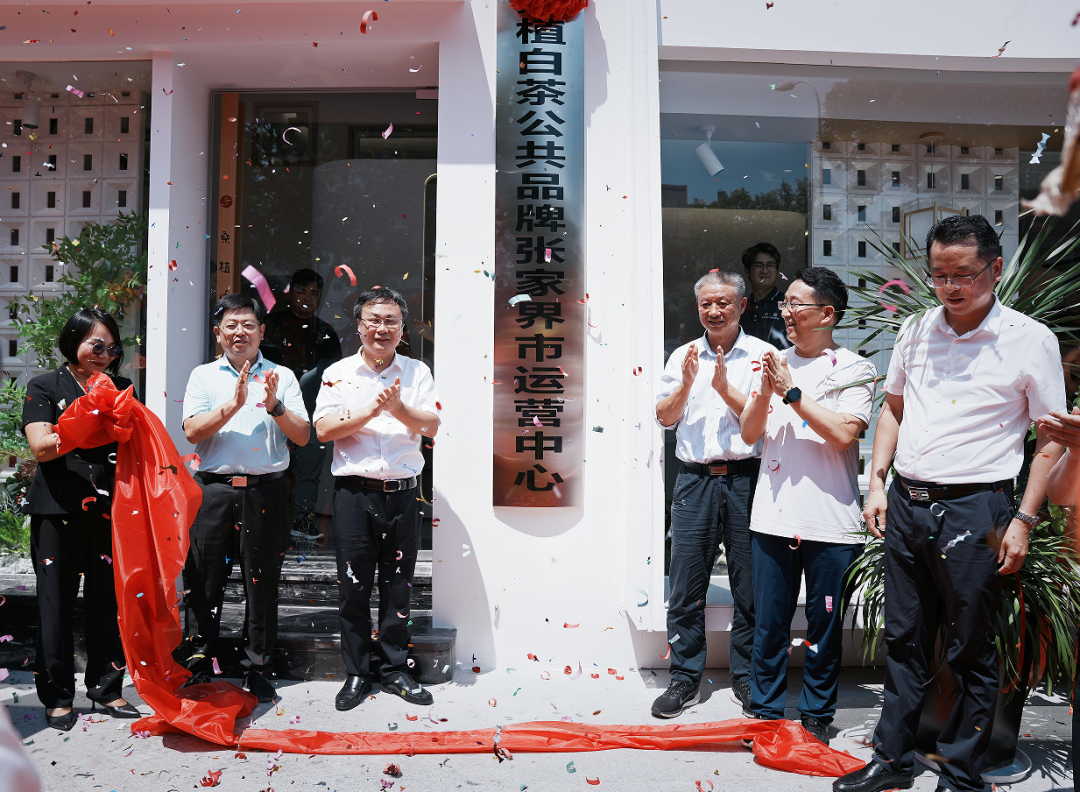 喜報(bào)！張家界白莓旗艦店盛裝開業(yè)暨桑植白茶公共品牌張家界市運(yùn)營中心隆重揭牌！